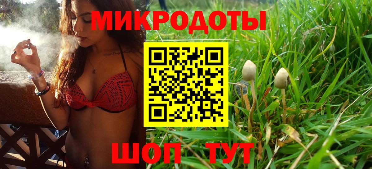 Псилоцибиновые грибы ЛСД Пугачёв